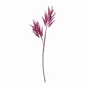 23Aw Artplants Eucalyptus Purplehome decor ,wall decor 
