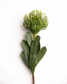 'Flame Flower' Decorative Faux Flower Stick - Greenhome decor ,wall decor 