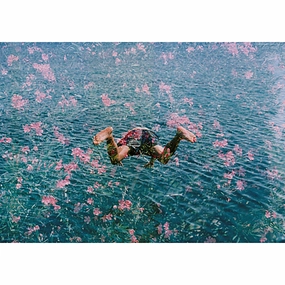 "Diving into Pink Flowers" from Getty Imagesnordic style wall decor