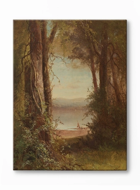 A Forest View, Canvasindoor decorative canvas print