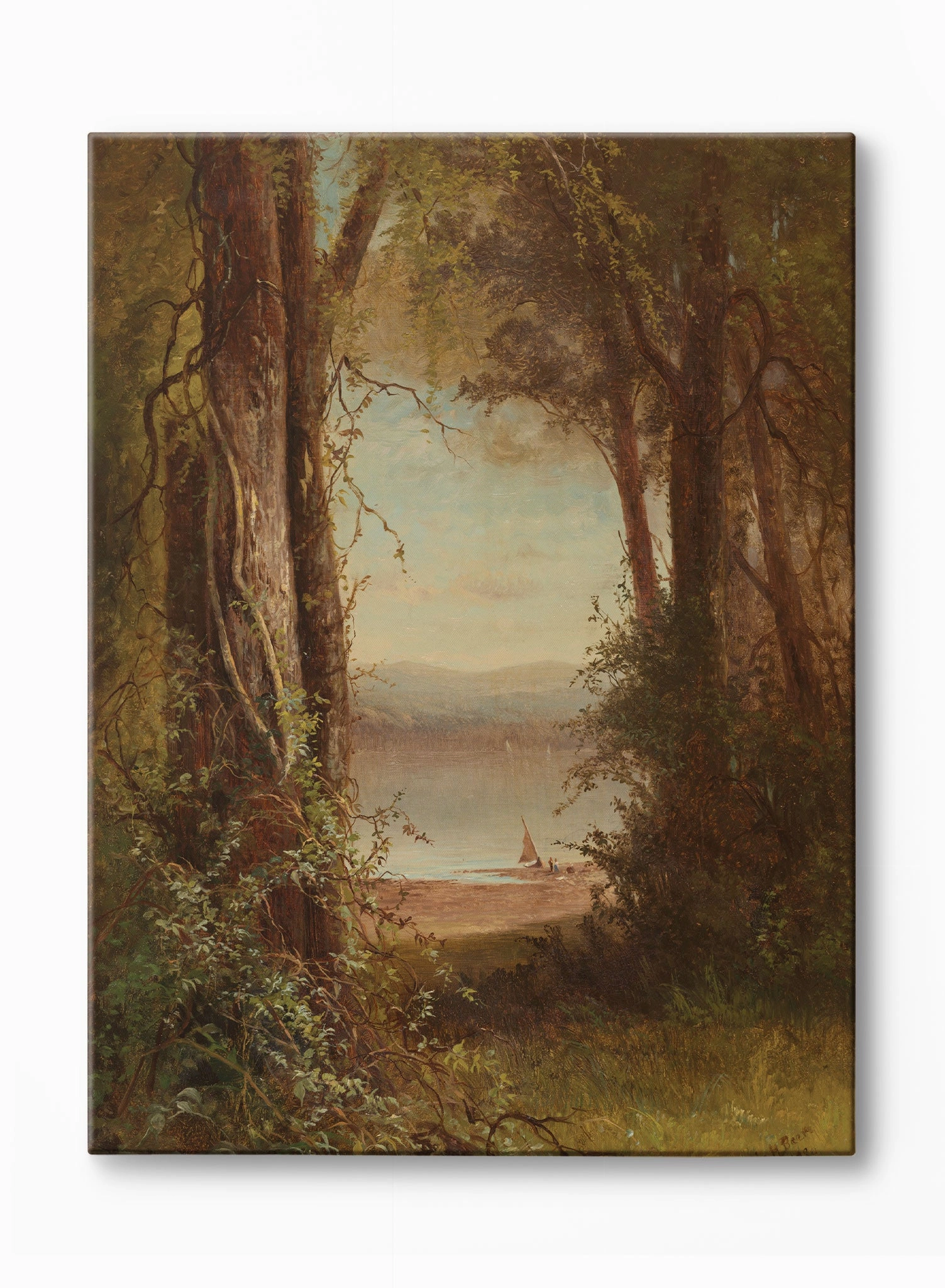 A Forest View, Canvasindoor decorative canvas print