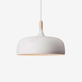 Acorn Pendant LightScandinavian pendant light ,modern chandelier 