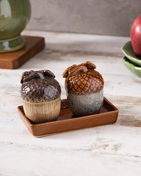 Acorn Salt & Pepper Shaker Sethome decor ,wall decor 