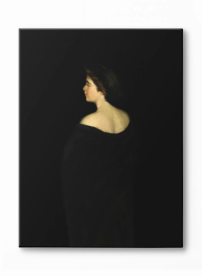 Among the Shadows, Canvasindoor decorative canvas print