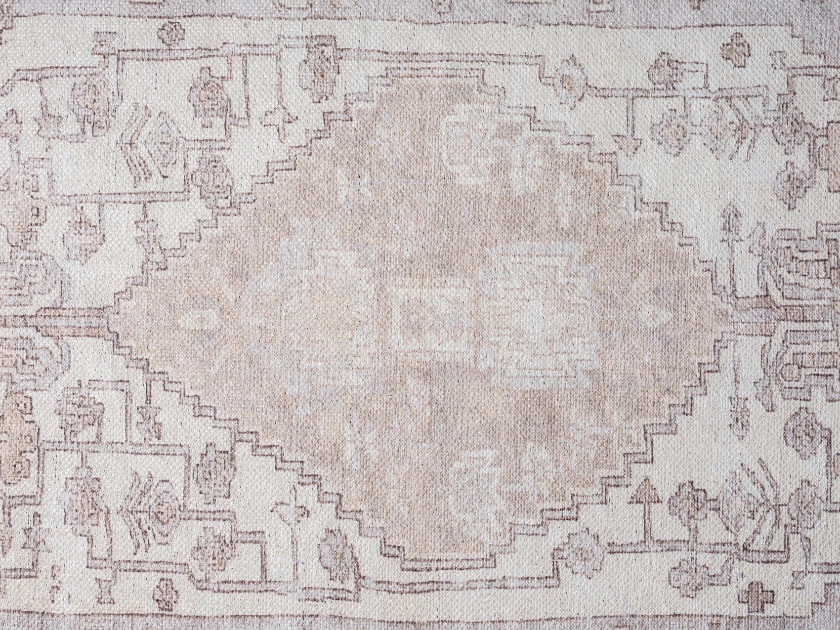 Aneesa Beige and Cream Traditional Distressed Washable Rug