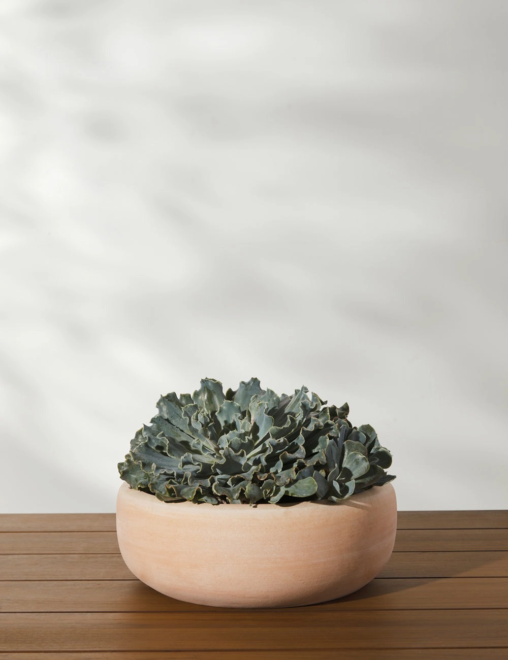 Annalise Planter (Set of 2) by Campania International -  -