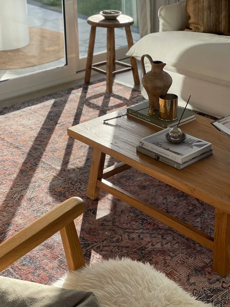 Anyel Brown and Blue Traditional Distressed Washable Rug *NO RETURNS UNLESS FAULTY