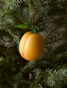 Apricot Ornament by Cody Foster and Cohome decor ,wall decor 