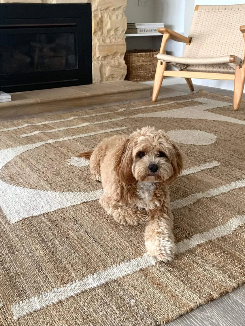 Aranda Brown and Cream Rug *NO RETURNS UNLESS FAULTY