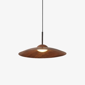 Arcadian Pendant LightScandinavian pendant light ,modern chandelier 