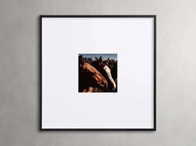Argentina Horses  I Framed Printnordic style wall decor