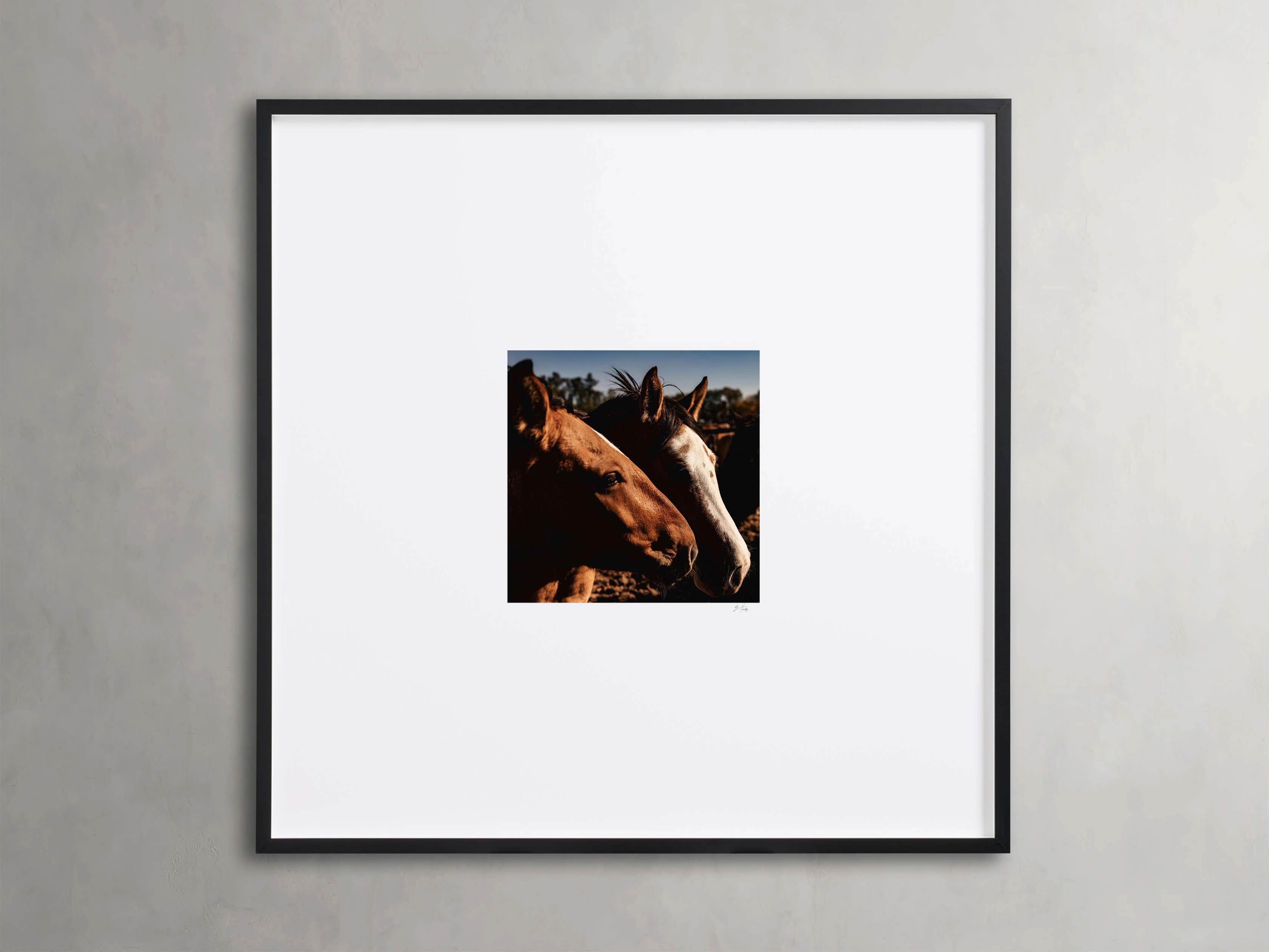 Argentina Horses  I Framed Printnordic style wall decor