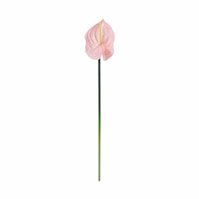 Art Flower Anthurium  Pinkhome decor ,wall decor 