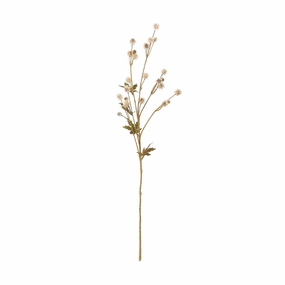 Art Flower Antique Sanicula Beigehome decor ,wall decor 
