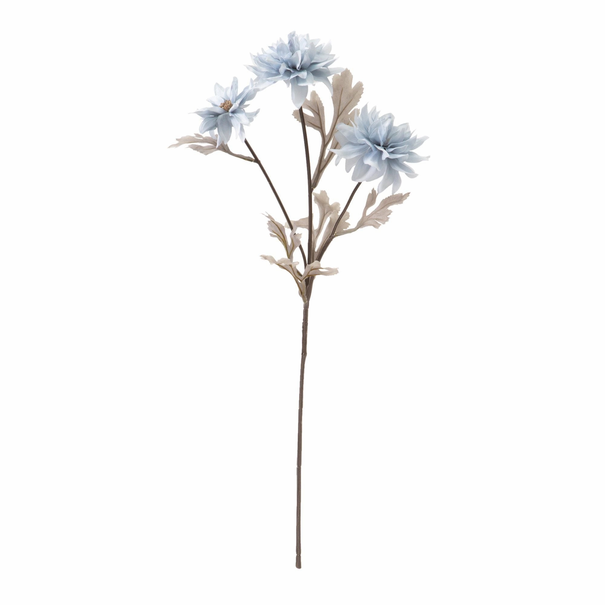 Art Flower Dahlia Bluehome decor ,wall decor 