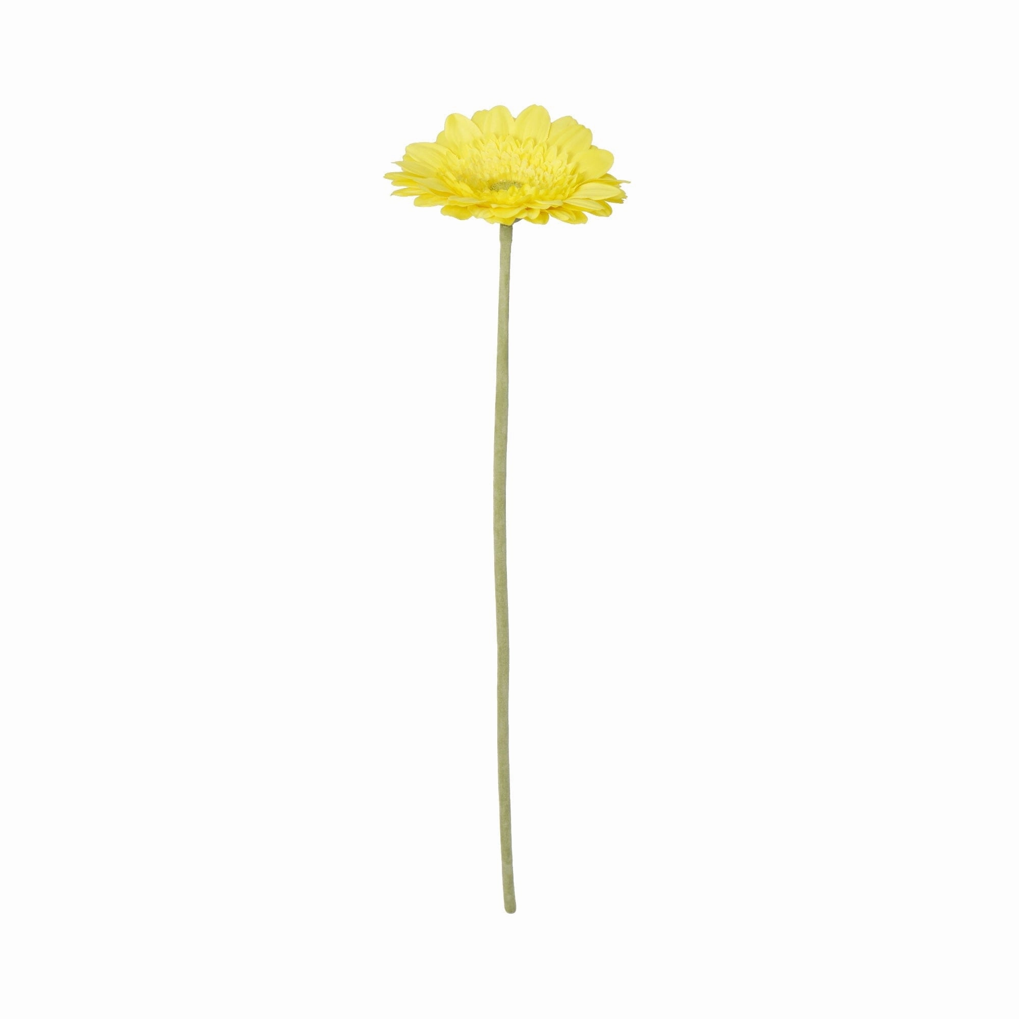 Art Flower Gerbera Large Yellowhome decor ,wall decor 