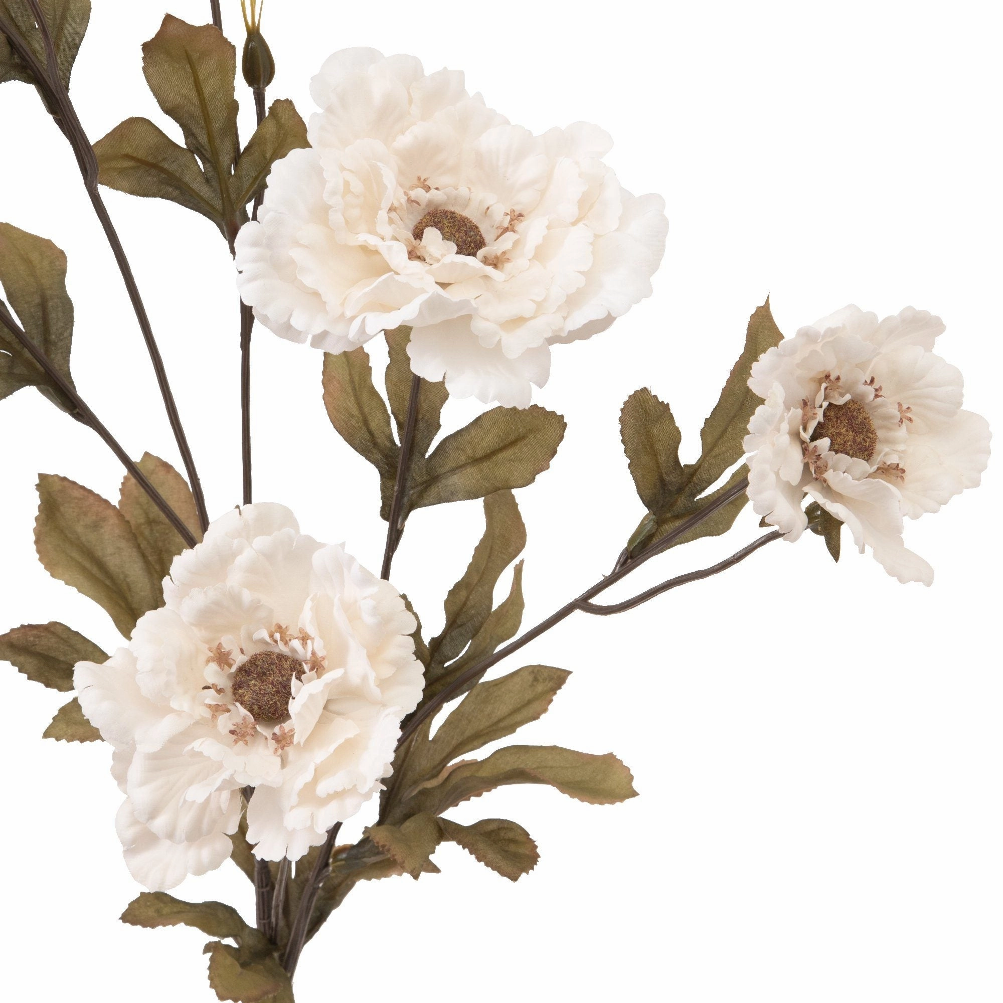 Art Flower Lotuspeony Ivory