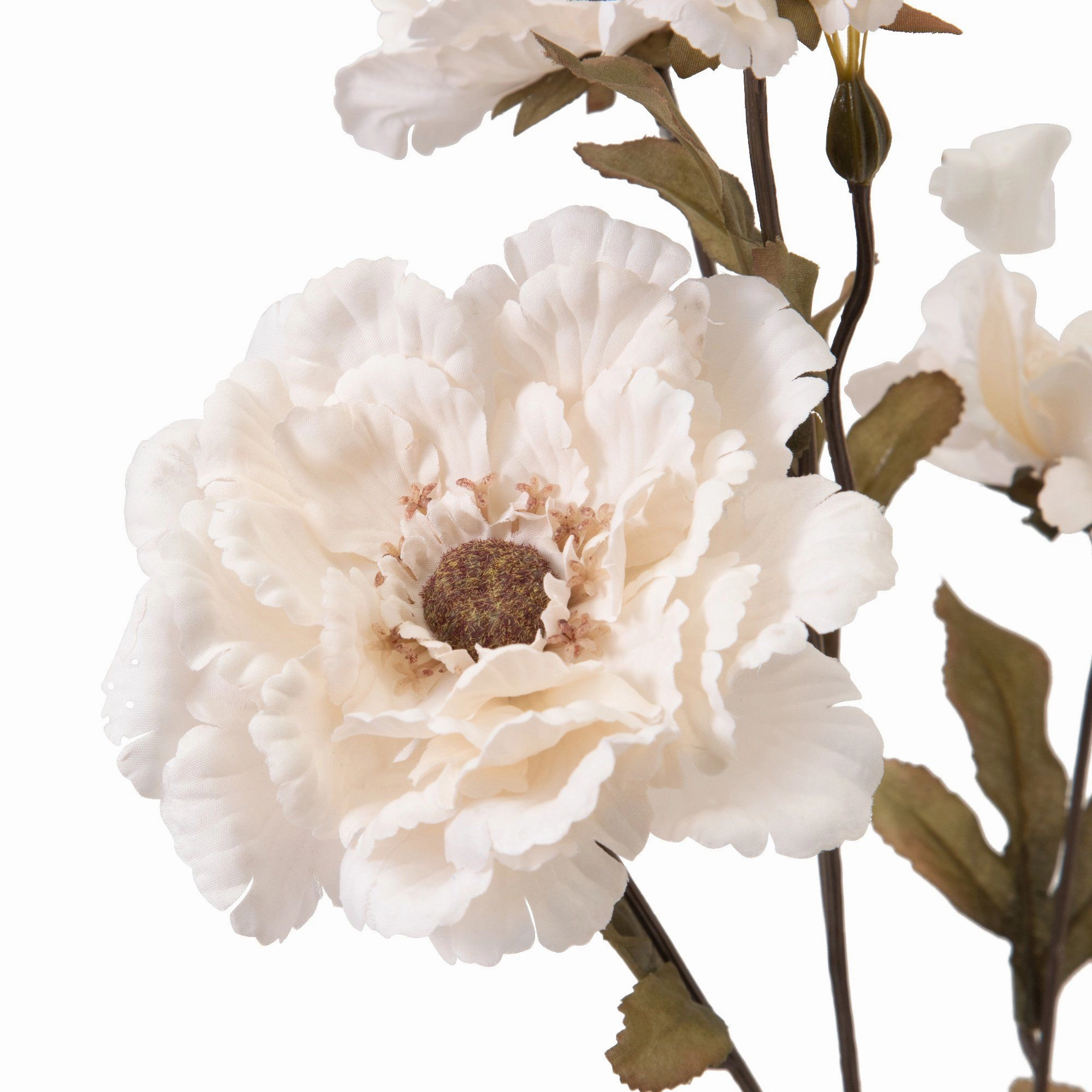 Art Flower Lotuspeony Ivory