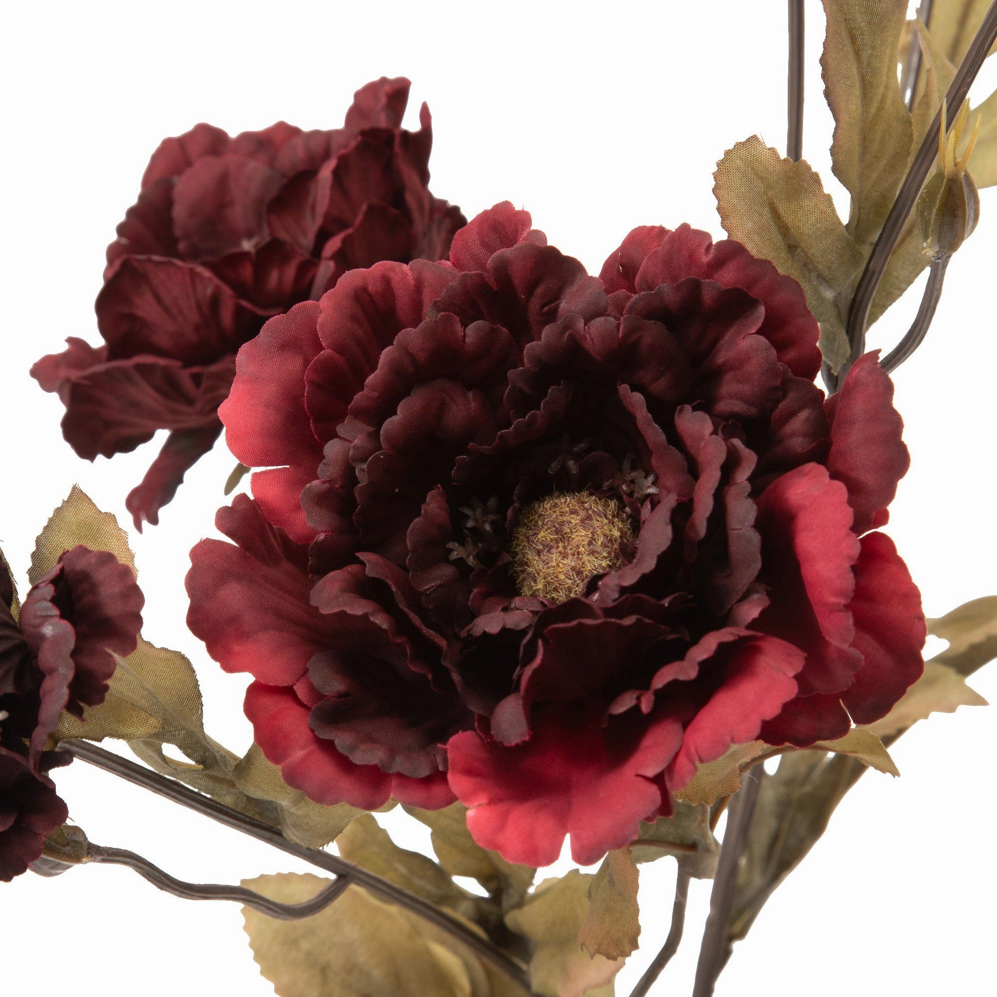 Art Flower Lotuspeony Red