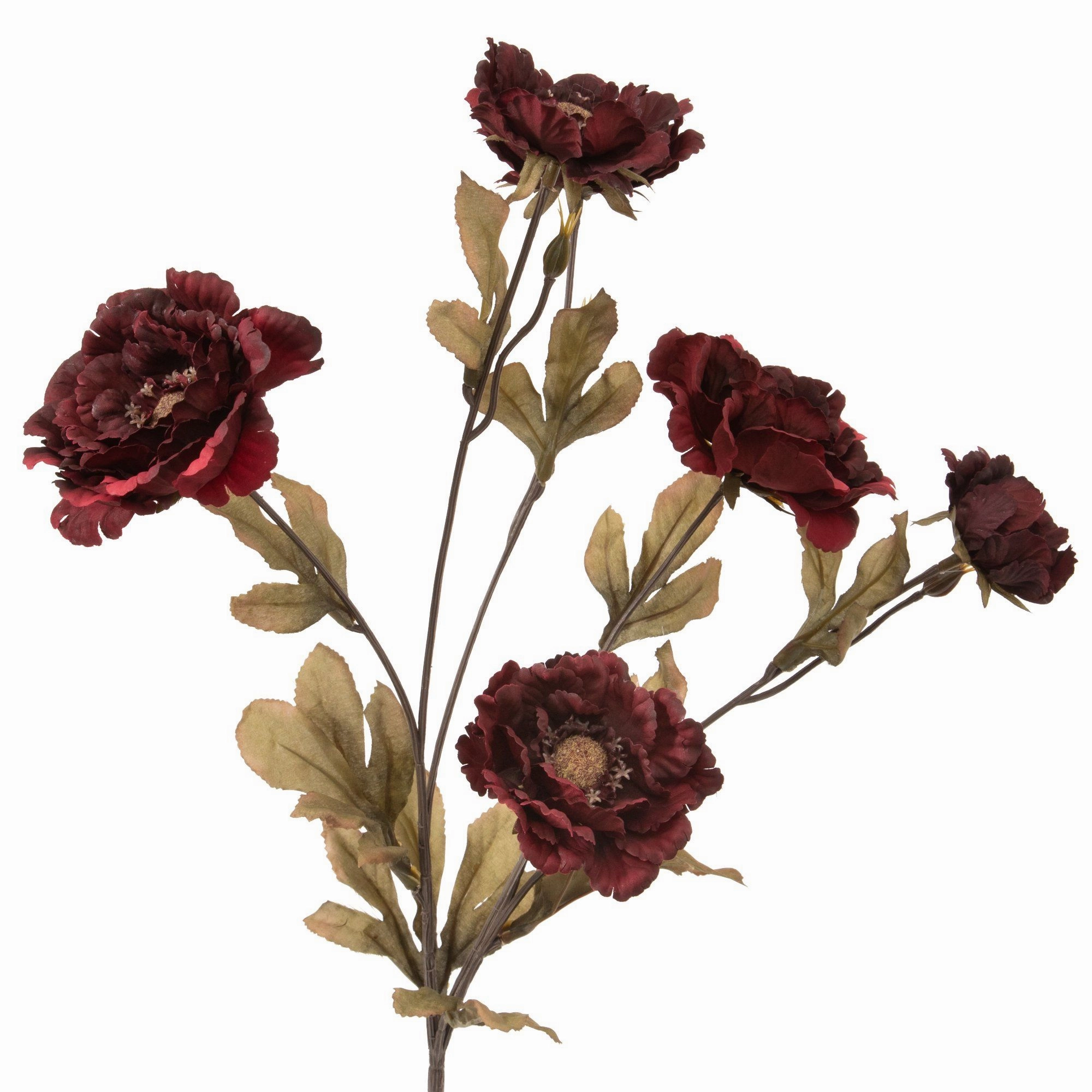 Art Flower Lotuspeony Red