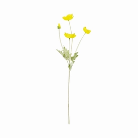 Art Flower Poppy Small Yellowhome decor ,wall decor 