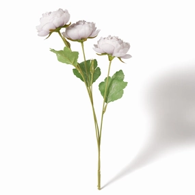 Art Flower Ranunculus Light Purplehome decor ,wall decor 