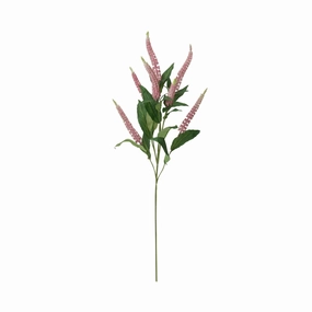 Art Flower Salvia Pinkhome decor ,wall decor 