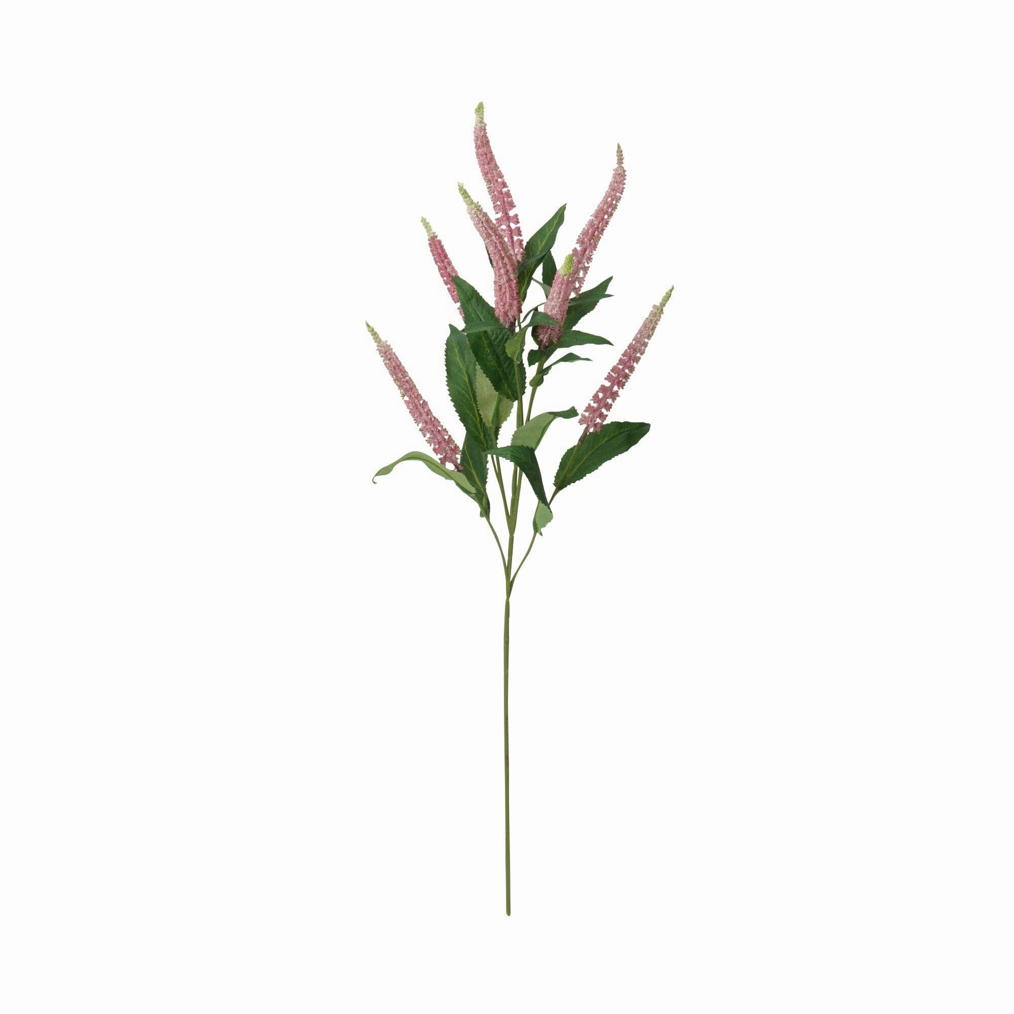 Art Flower Salvia Pinkhome decor ,wall decor 