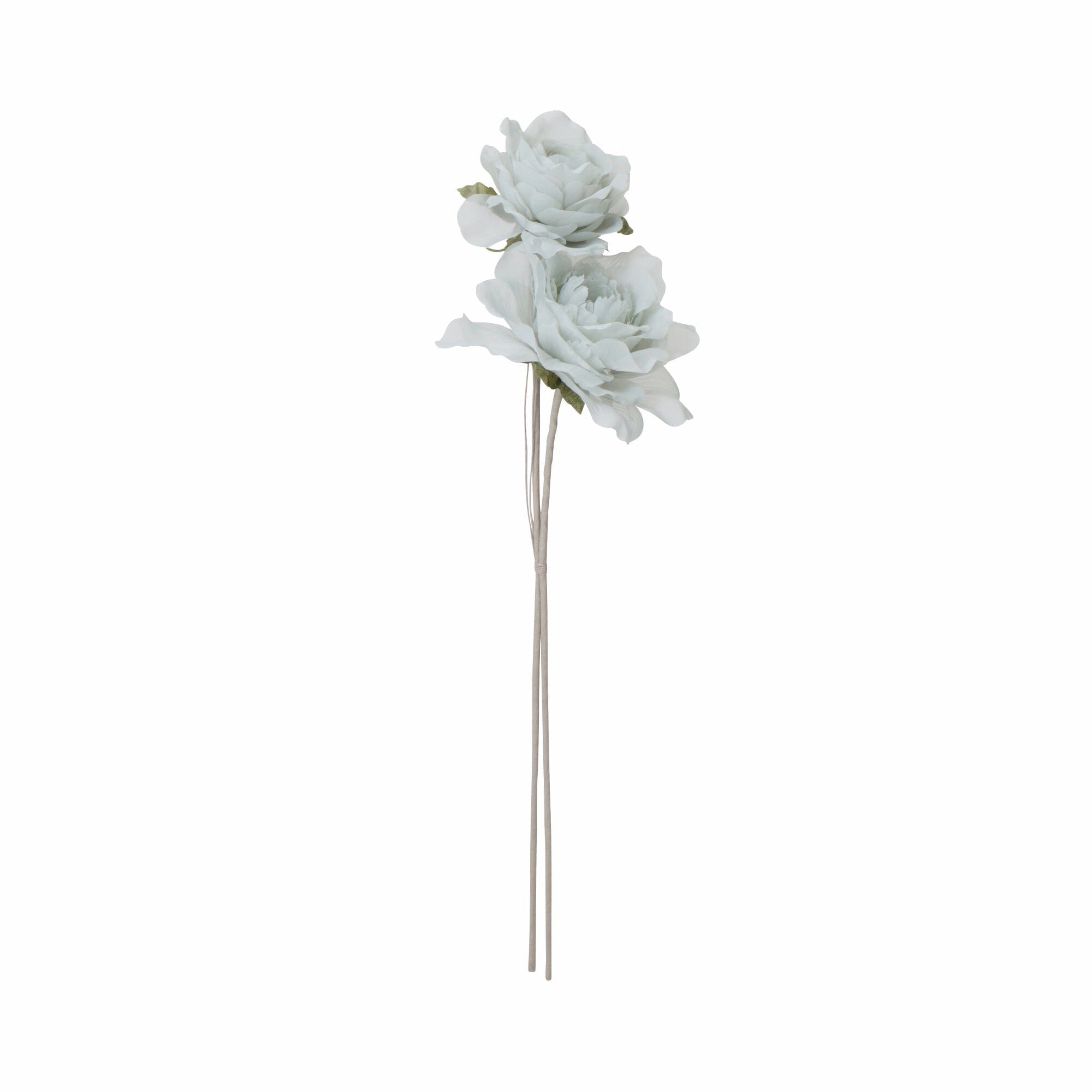 Art Flower Sheer Rose Light Bluehome decor ,wall decor 