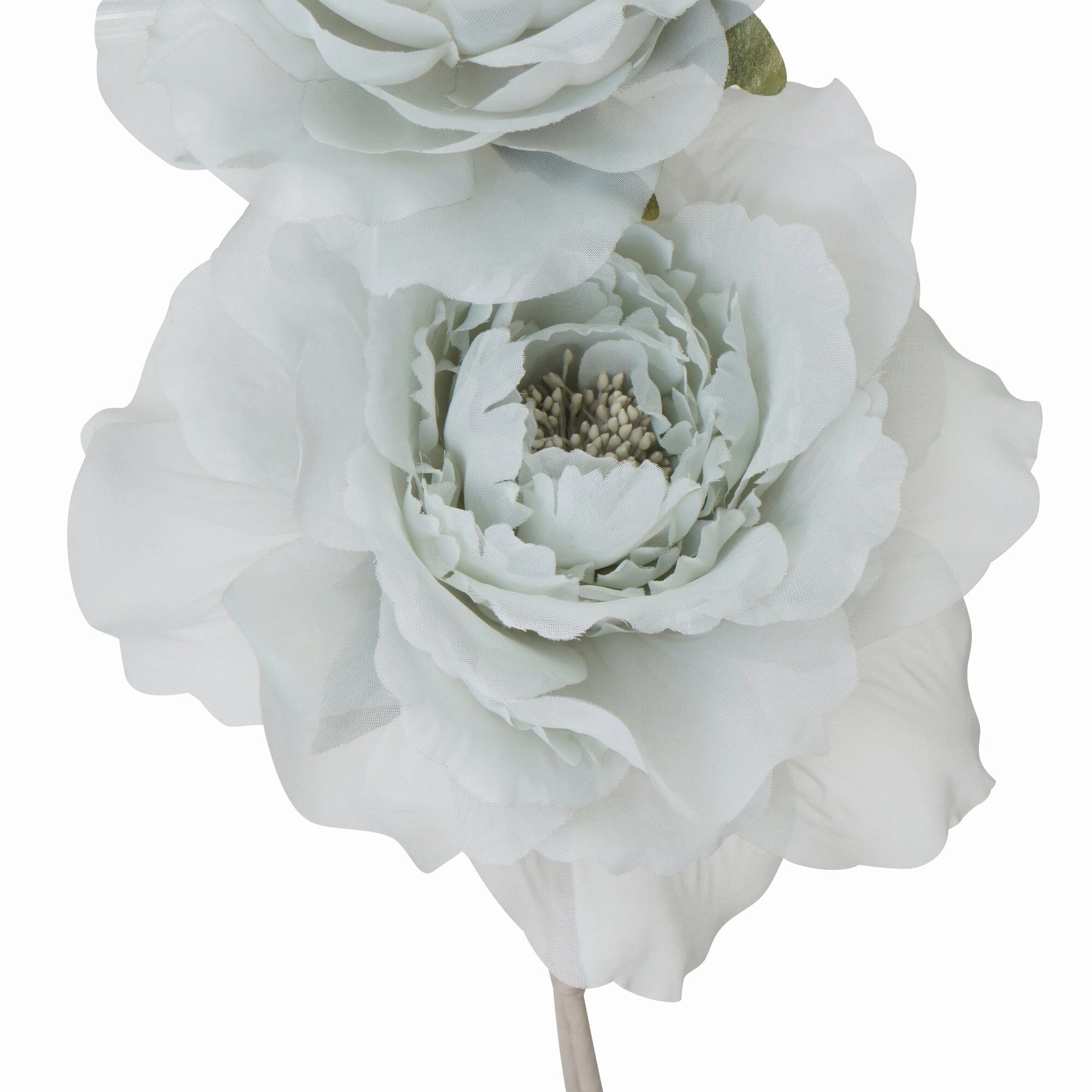 Art Flower Sheer Rose Light Blue