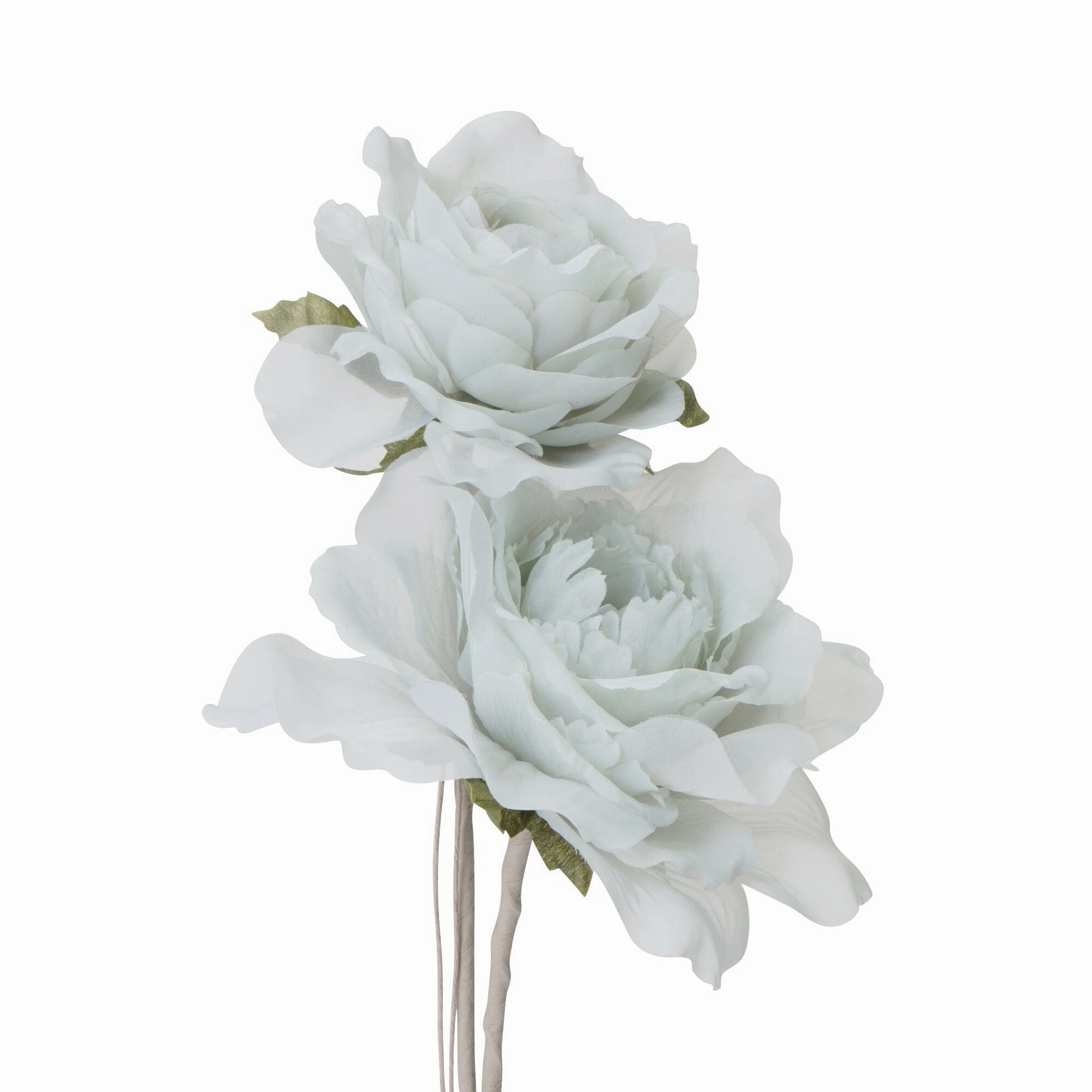 Art Flower Sheer Rose Light Blue