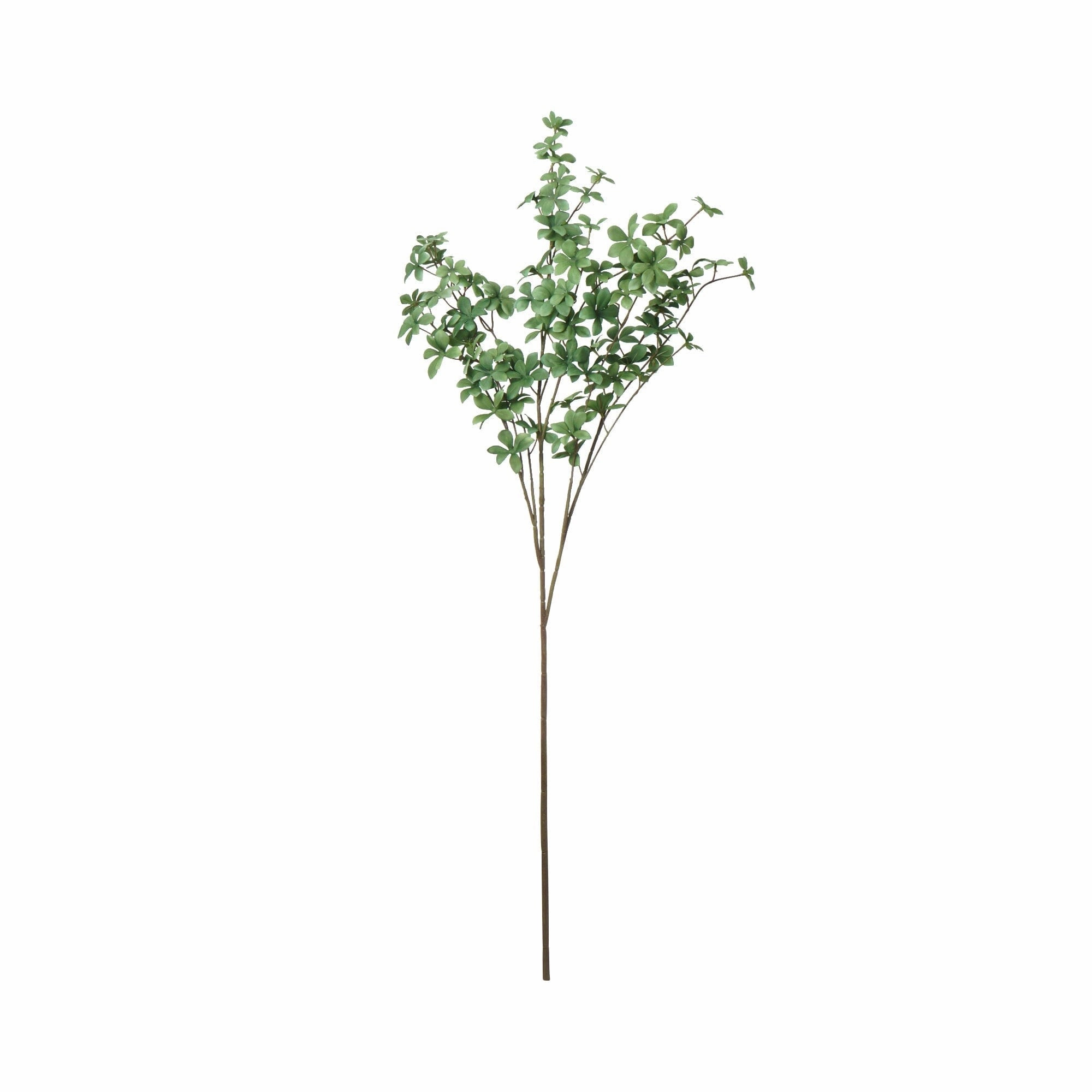 Art Green Enkianthus Campanulatus Greenhome decor ,wall decor 