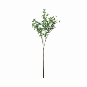 Art Green Enkianthus Campanulatus Greenhome decor ,wall decor 