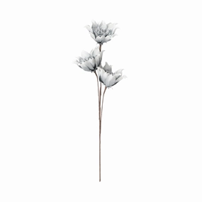 Art Plant Daisy Light Bluehome decor ,wall decor 