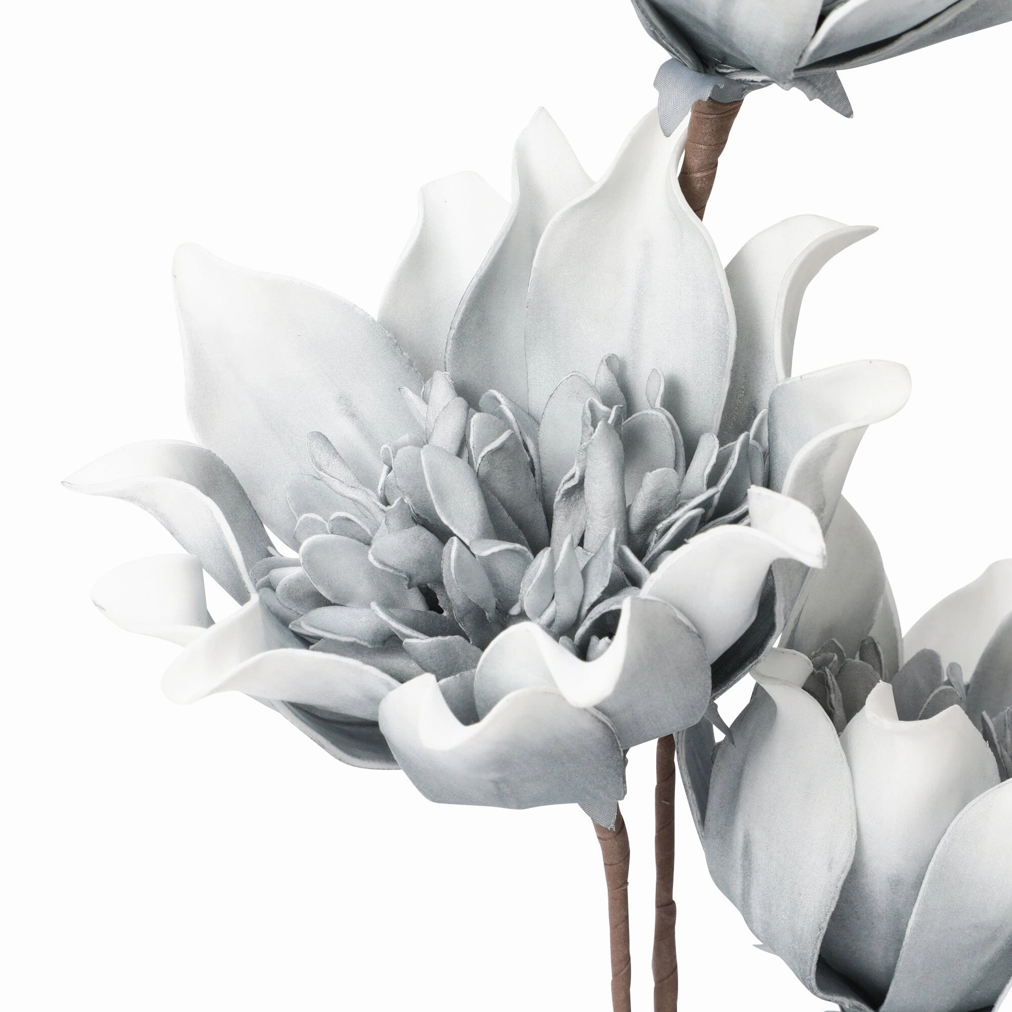 Art Plant Daisy Light Blue