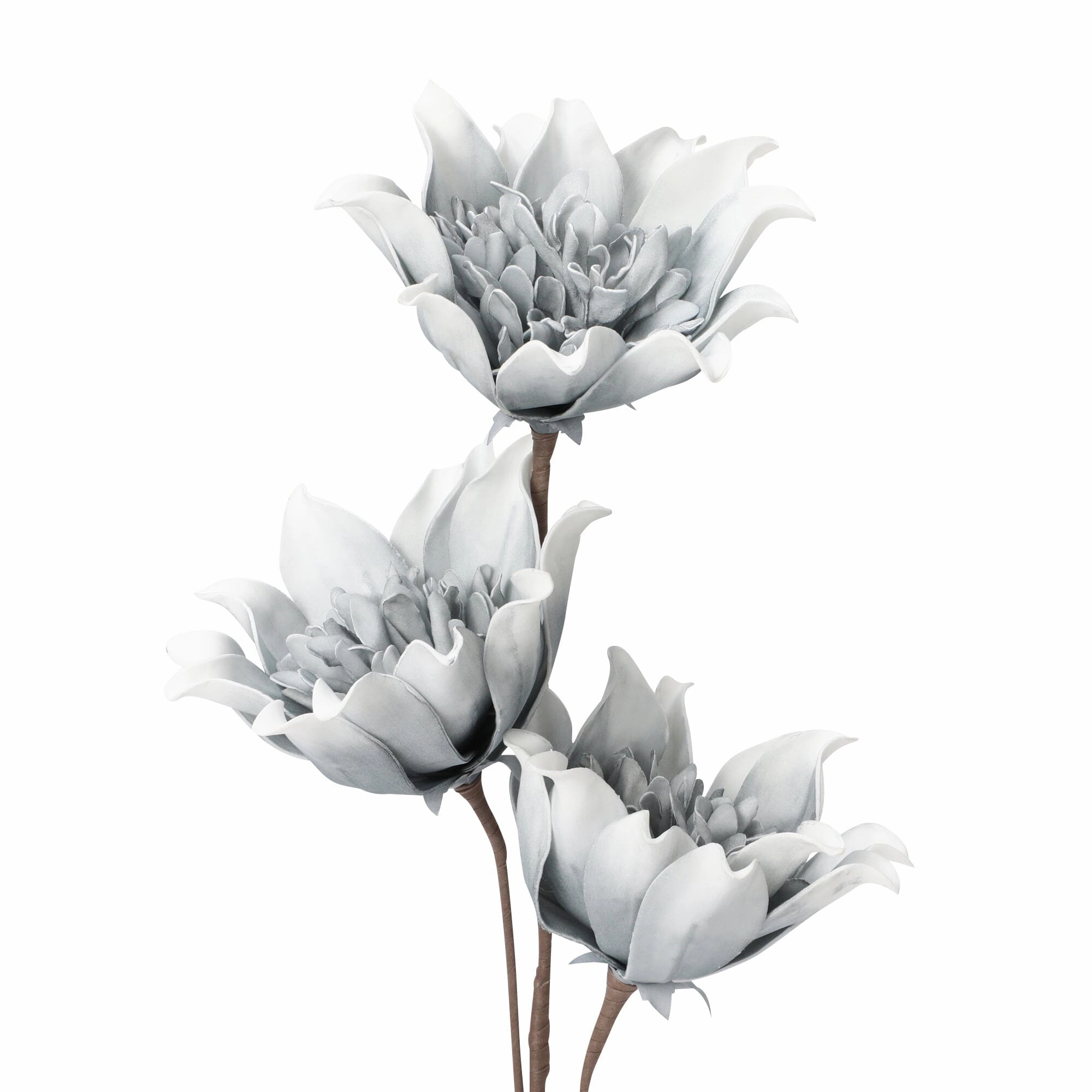 Art Plant Daisy Light Blue