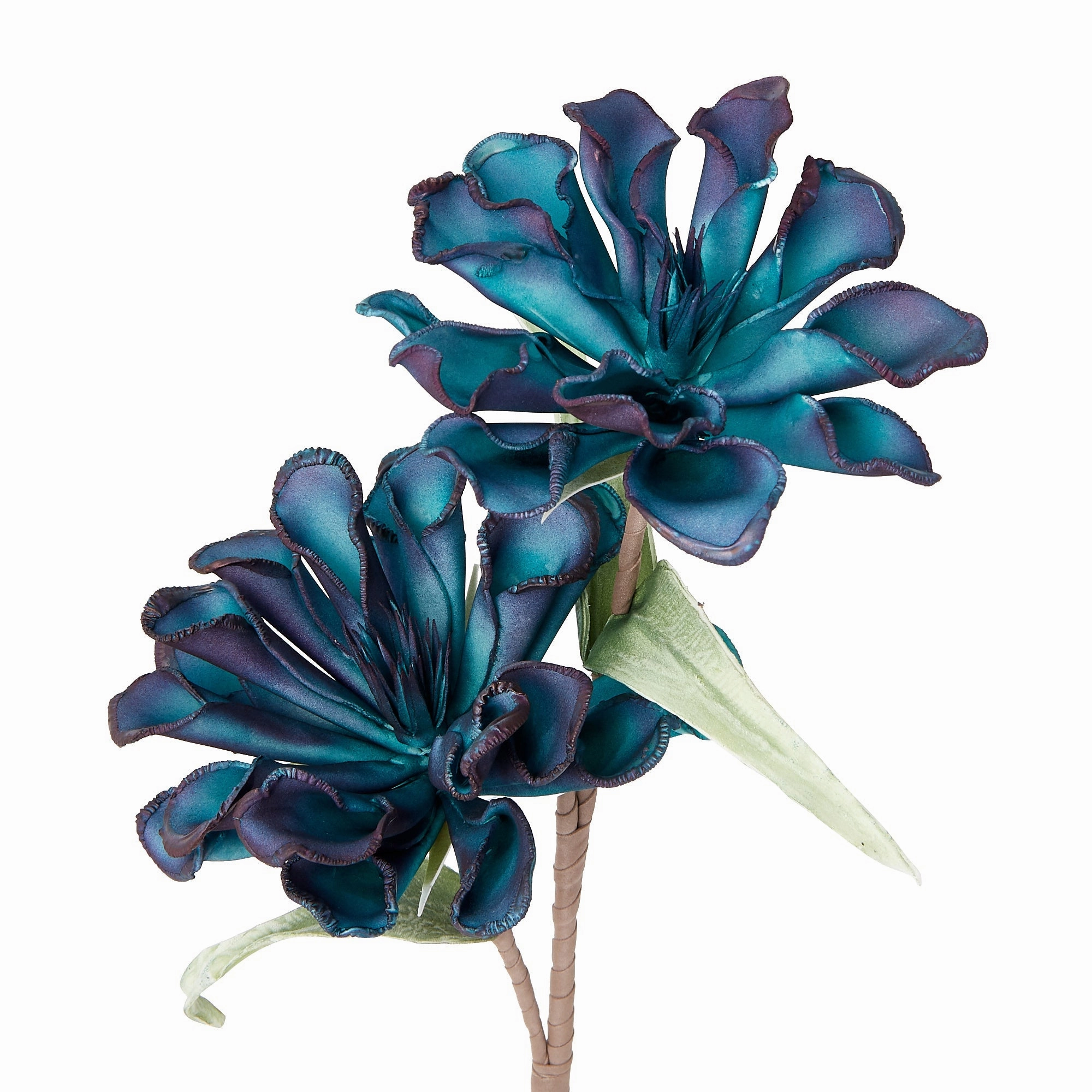 Art Plant Flower Blue
