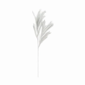 Art Plant Pampas Greyhome decor ,wall decor 