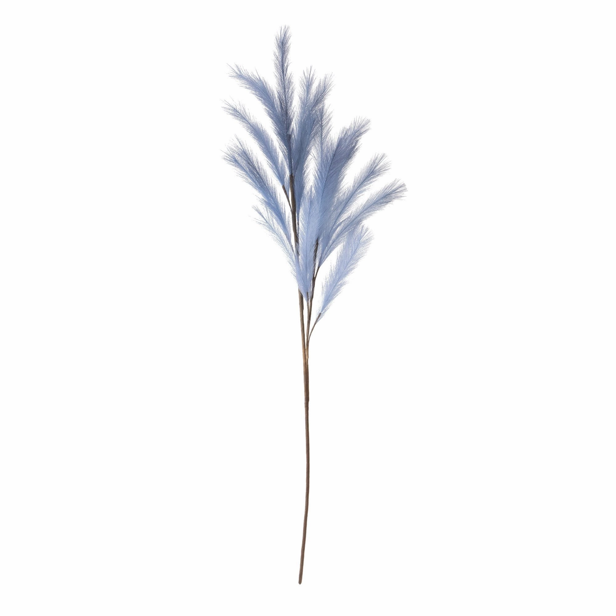 Art Plant Pampas Navyhome decor ,wall decor 