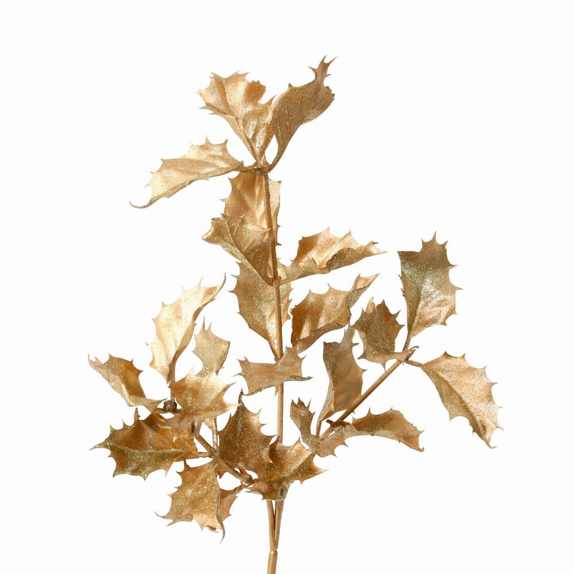 Art Plants Holly  Gold