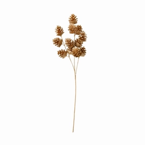 Art Plants Pinecone  Goldhome decor ,wall decor 