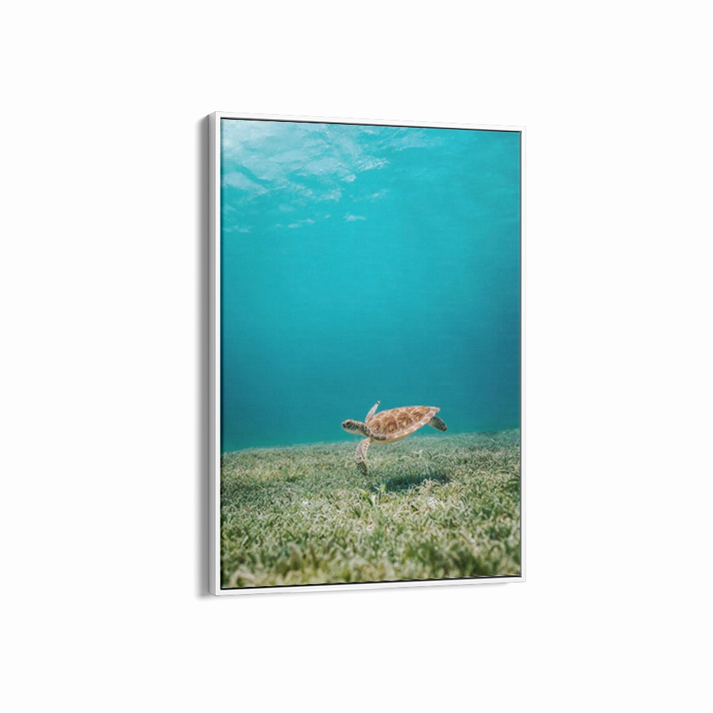 Aruba