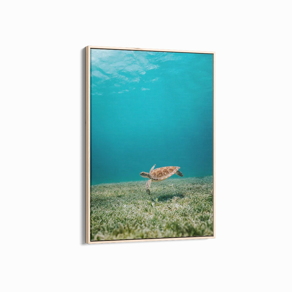 Aruba