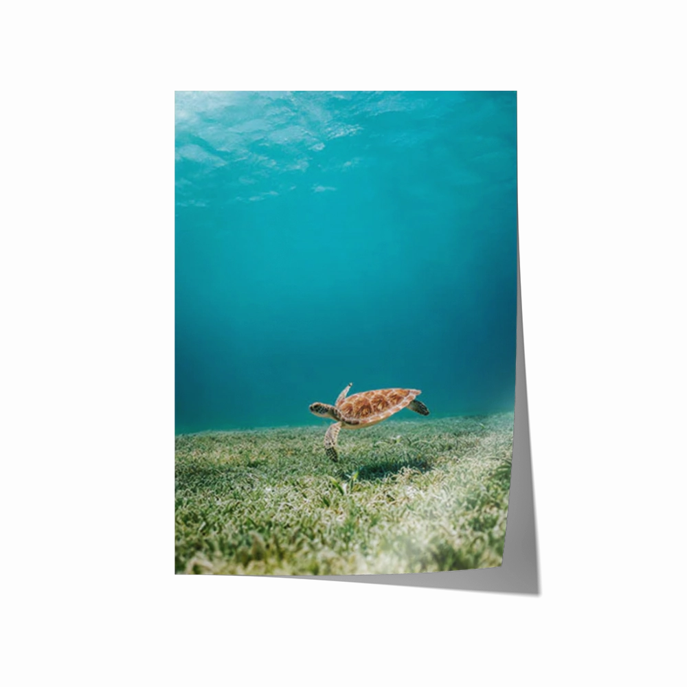Aruba