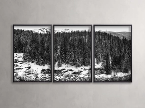 Aspen Allure III Framed Print (Set of 3)nordic style wall decor