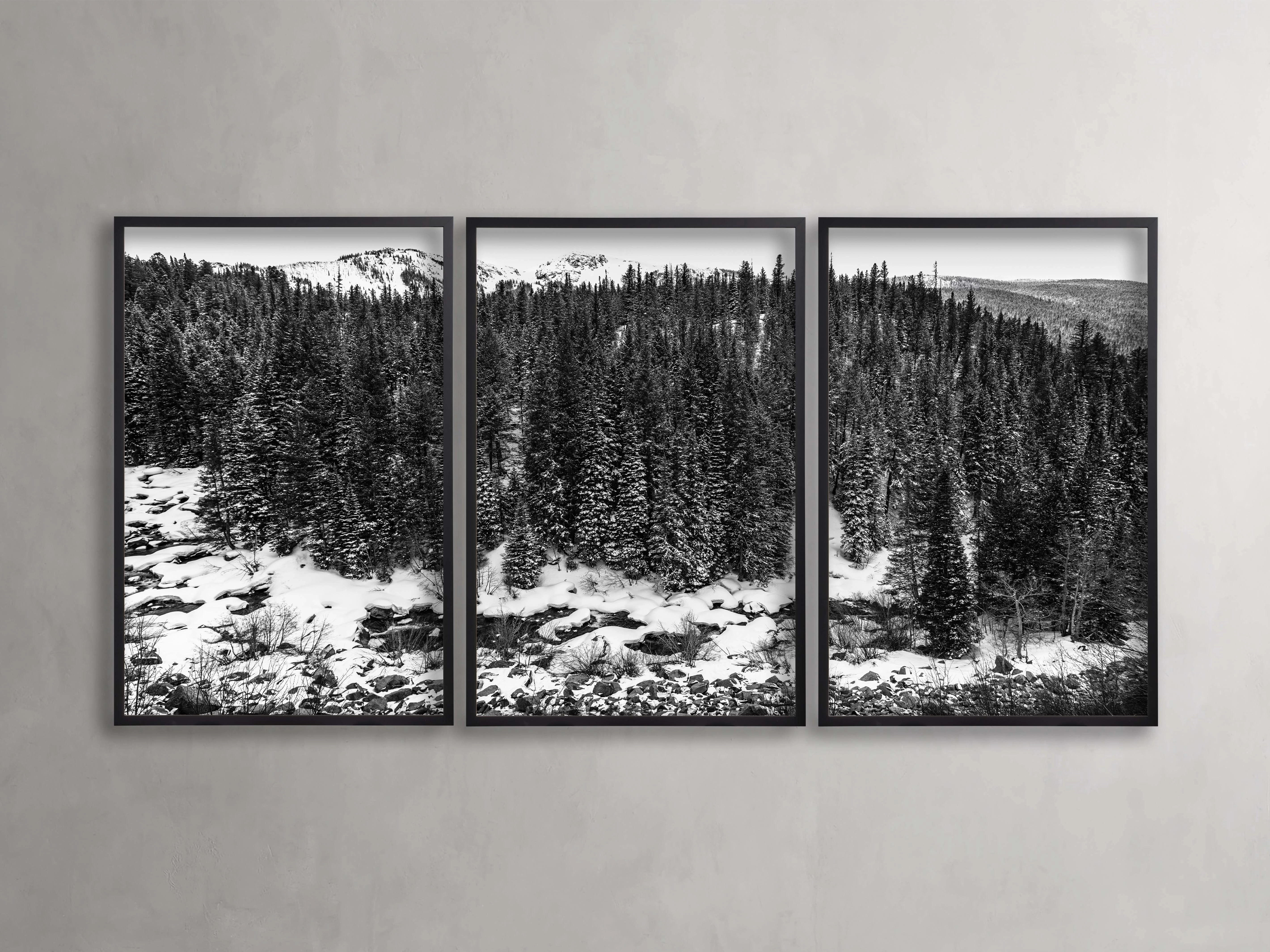 Aspen Allure III Framed Print (Set of 3)nordic style wall decor