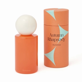 Autumn Rhapsody Fragrance Spray Snowdropdecorative vase ,Modern Ceramic Vase for Home Decoration 