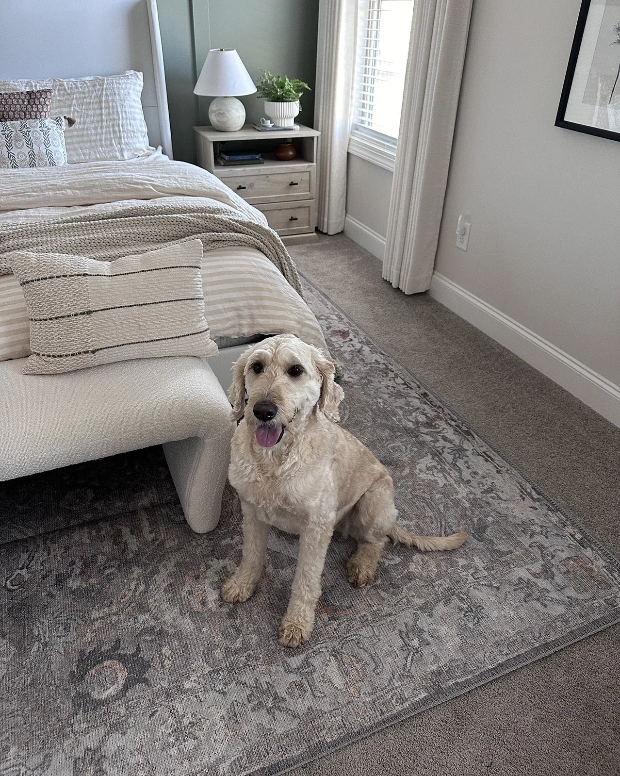 Ava Grey and Gold Traditional Distressed Washable Rug *NO RETURNS UNLESS FAULTY