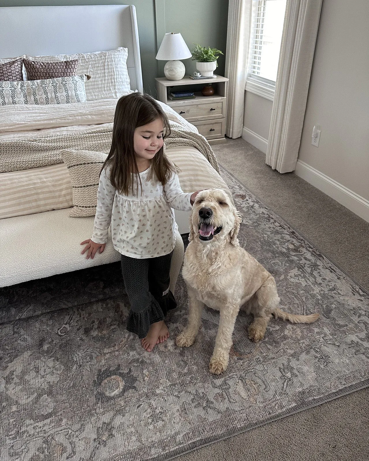 Ava Grey and Gold Traditional Distressed Washable Rug *NO RETURNS UNLESS FAULTY