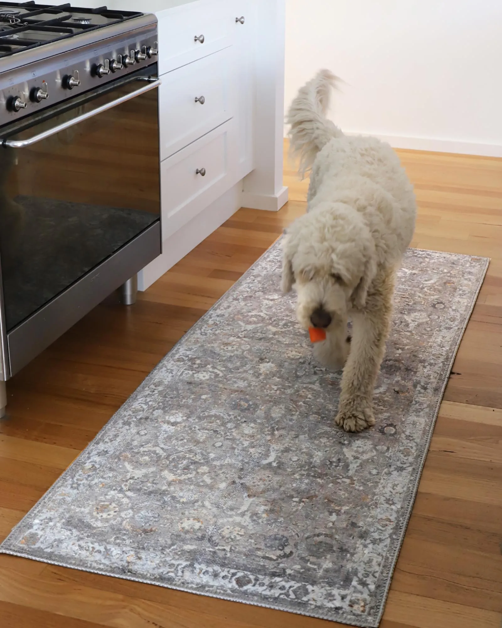 Ava Grey and Gold Traditional Distressed Washable Runner Rug *NO RETURNS UNLESS FAULTY